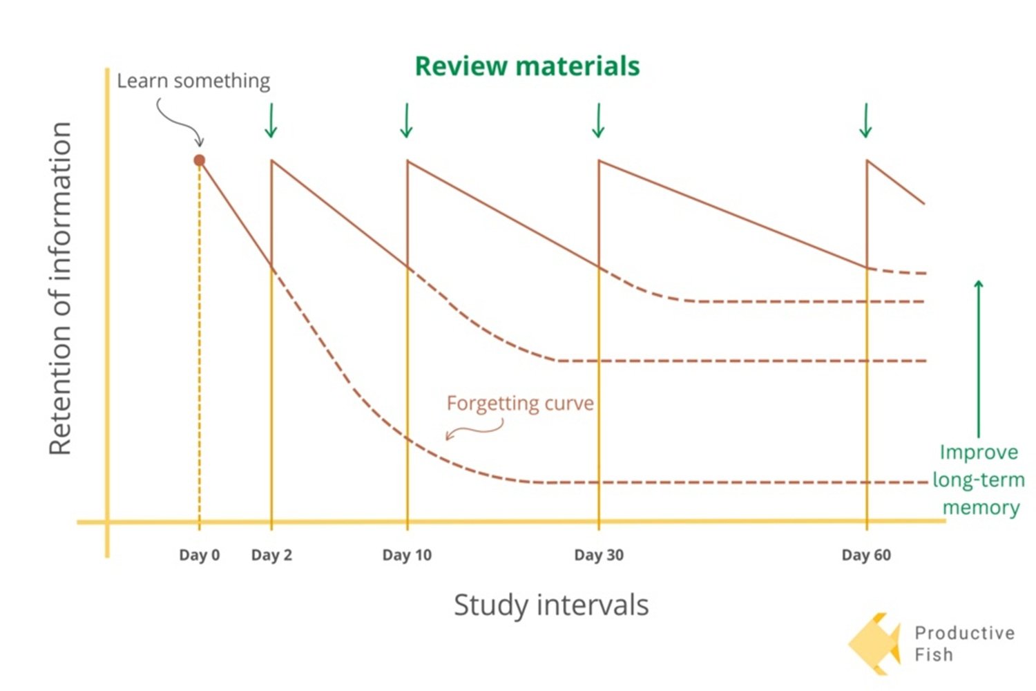Student comparing two study methods